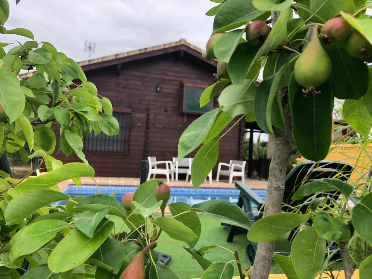 Casa De Madera El Oasis El Palomar Villa Sevilla Buitenkant foto